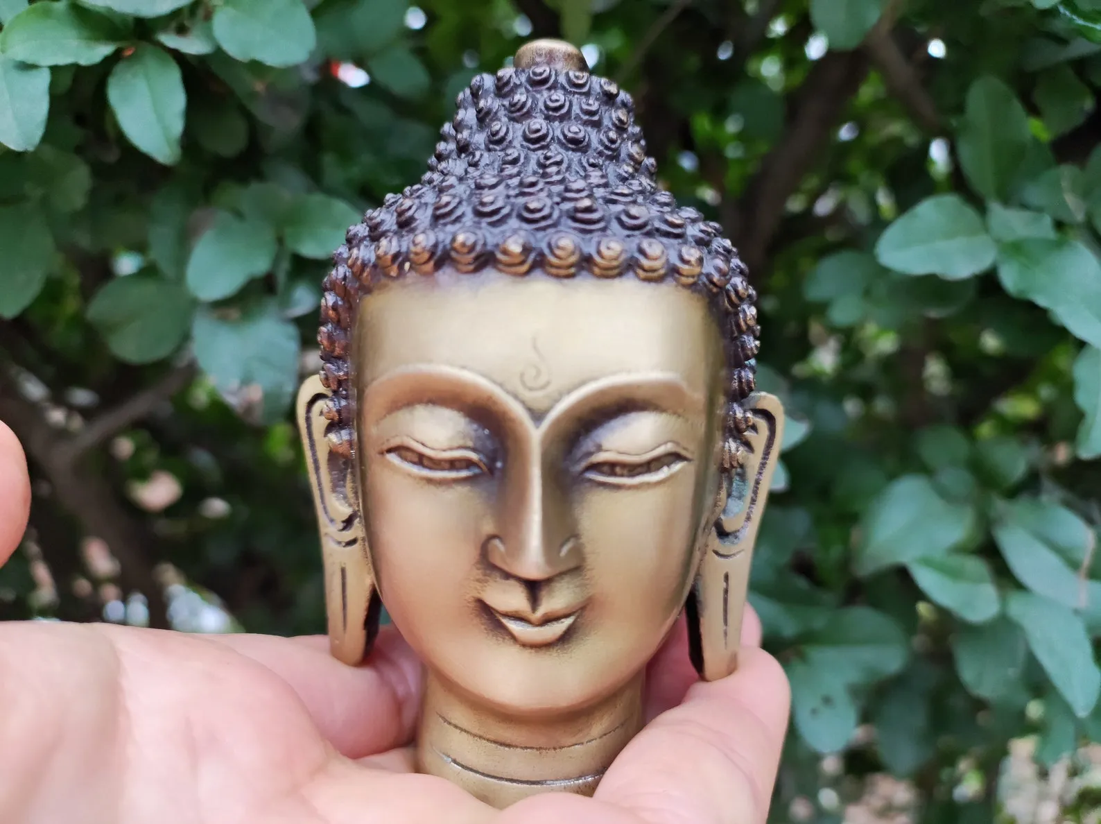 Vintage Meditating Shakyamuni Buddha Head